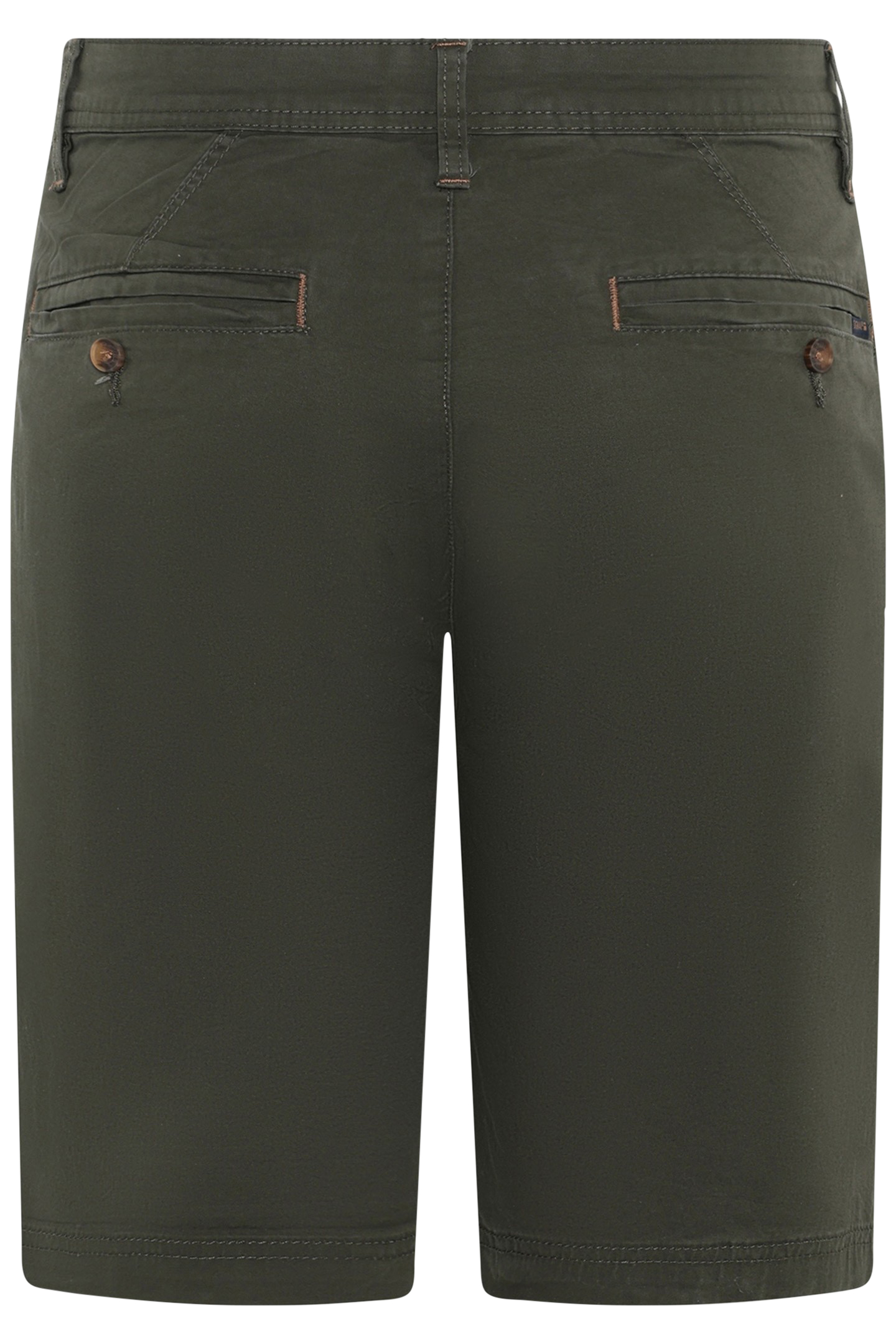 VANSI NEW + GREEN WOOD 2