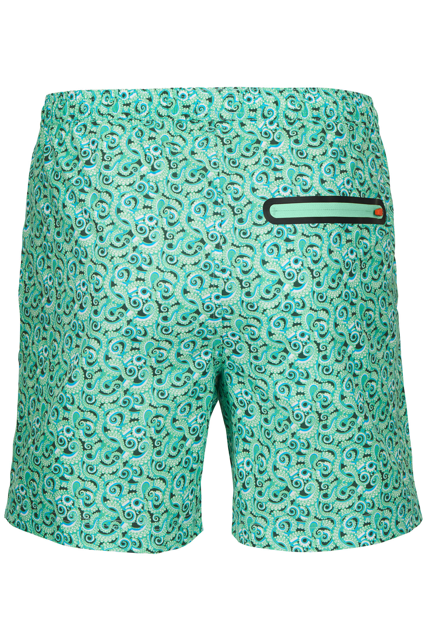 POLPO SWIM SHORT THYME 2