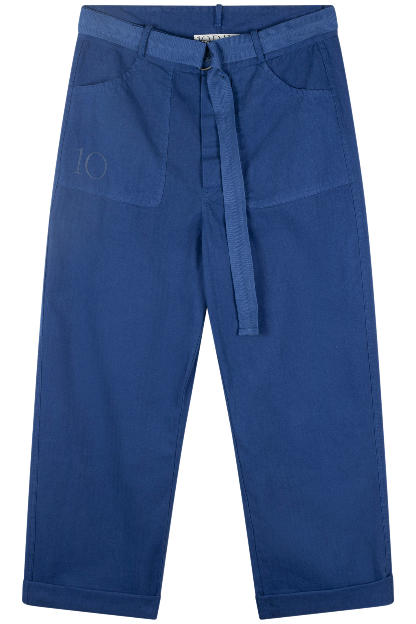 WORKWEAR PANTS ELECTRIC BLUE 4