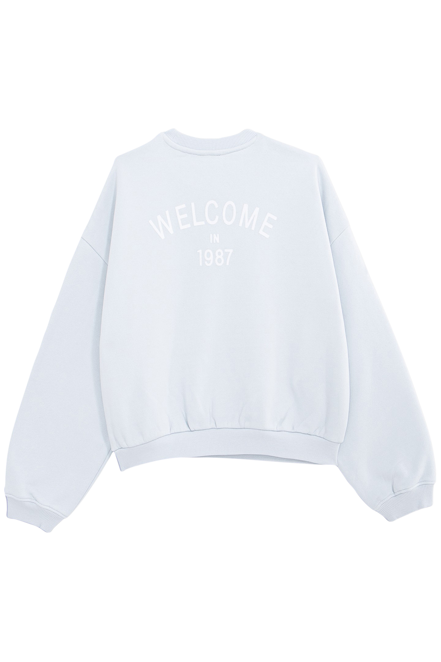 BLUE SWEATSHIRT WITH FLOCKED MESSAGE ON GIRL'S BACK 2