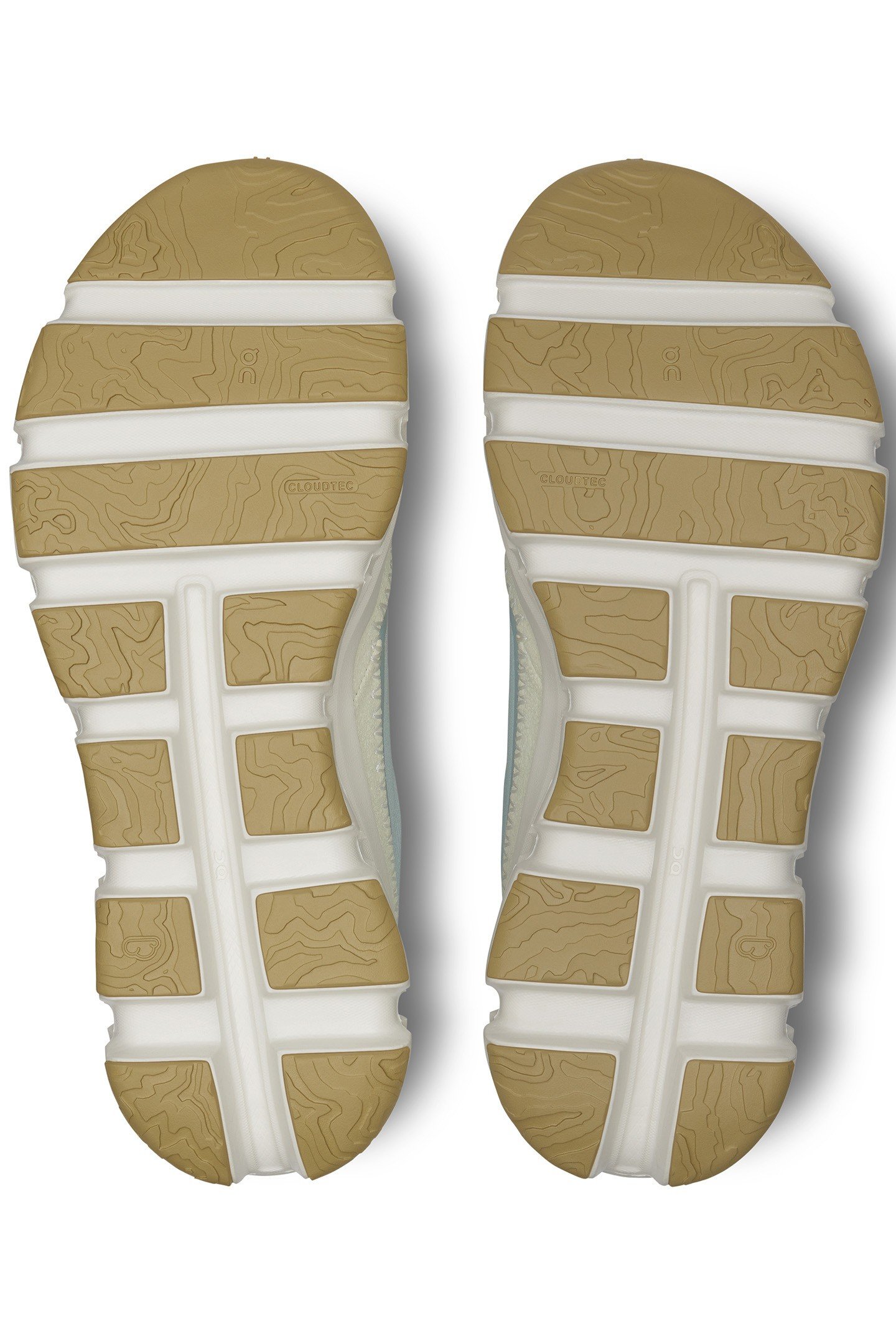 CLOUDAWAY 1 GLACIER SEEDLING 5