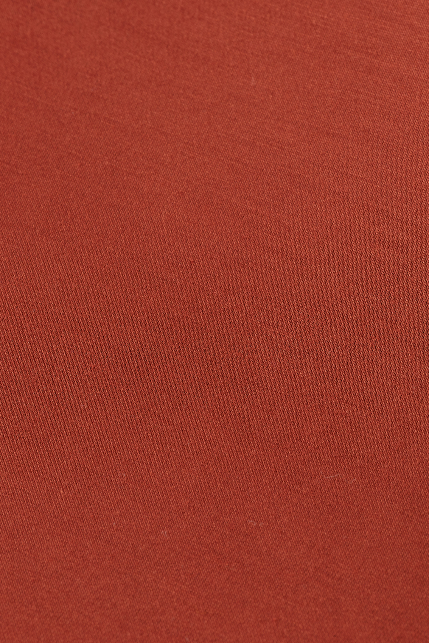 MODAL SWEATSHIRT RUST 9