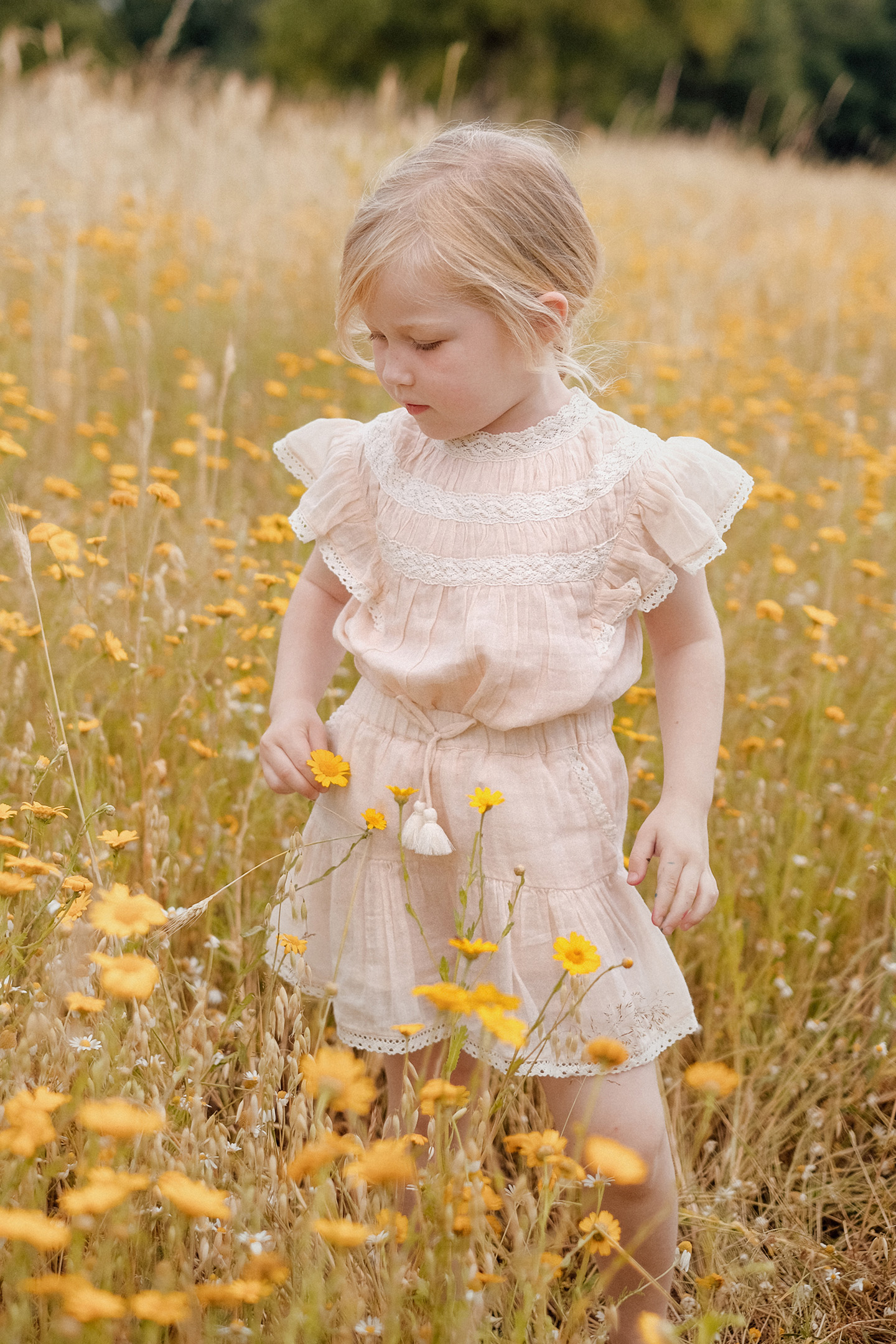 SHORTS ALAMBRA BLUSH 2