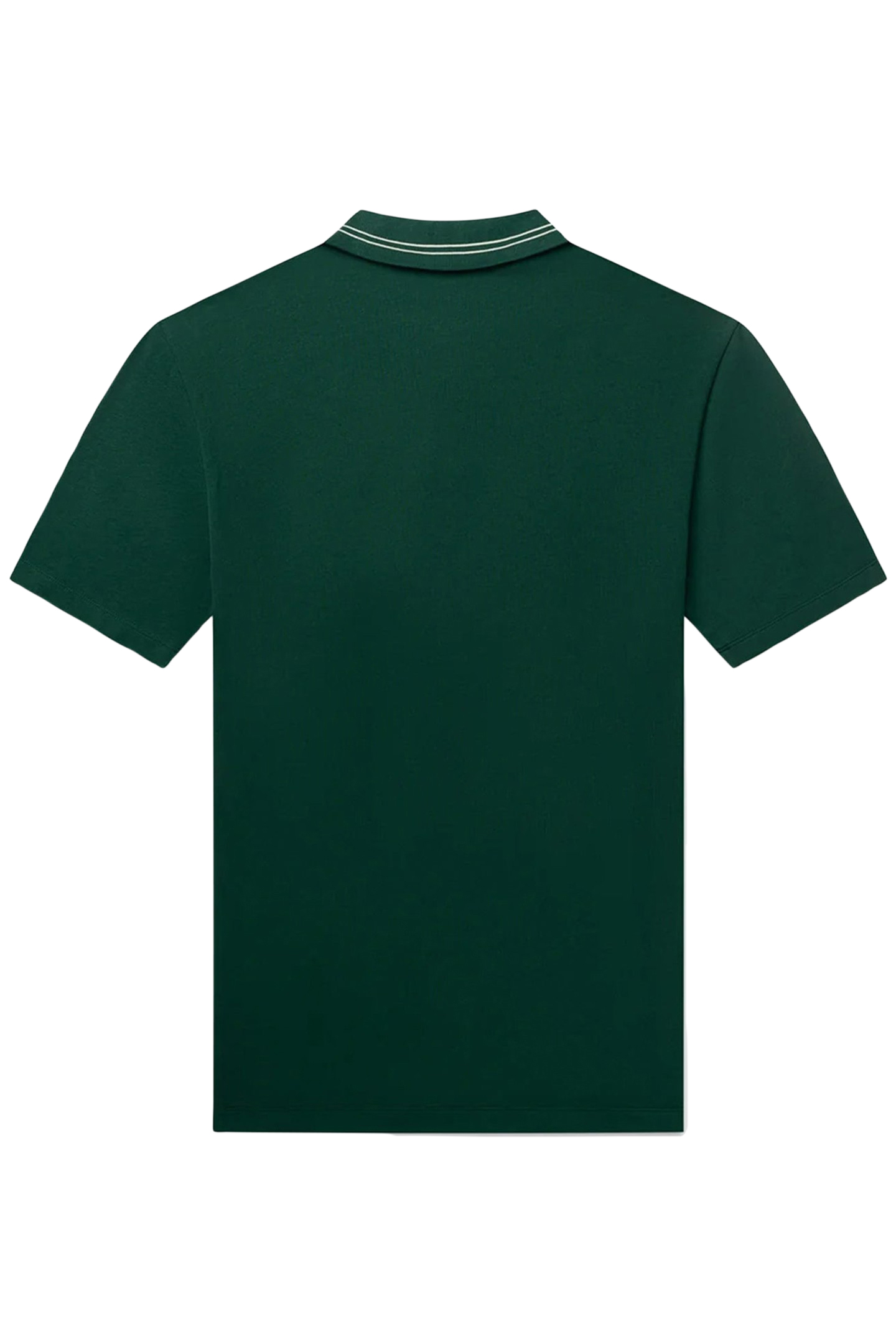 TAPE POLO BOTANICAL GREEN 5