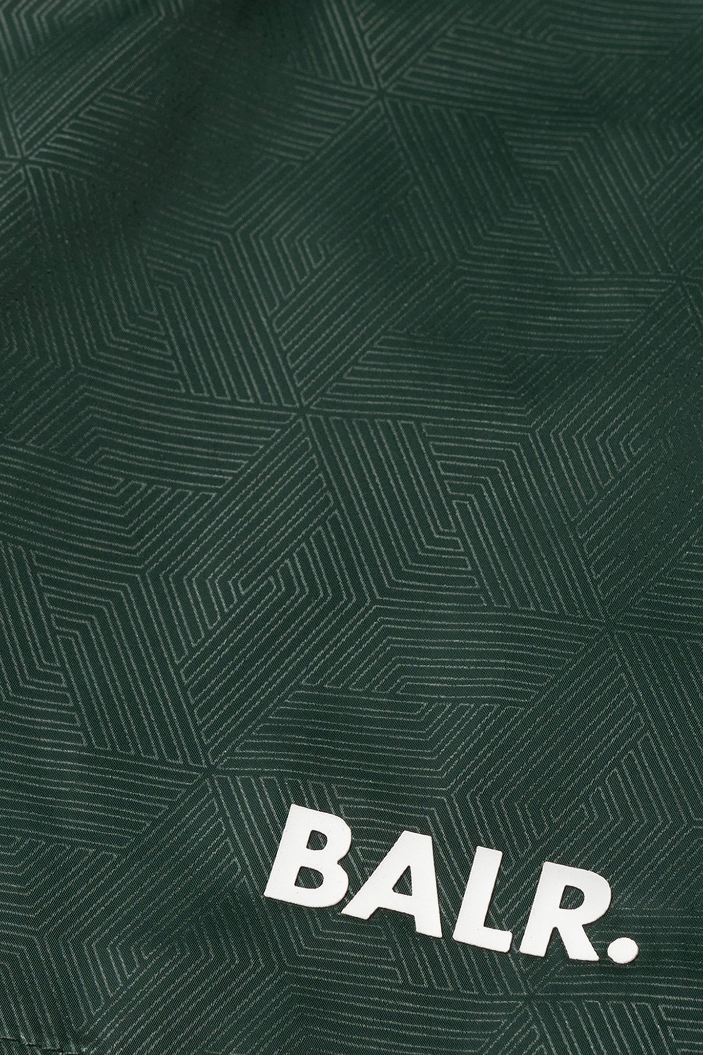 MONOGRAM SWIMSHORTS BOTANICAL GREEN 6