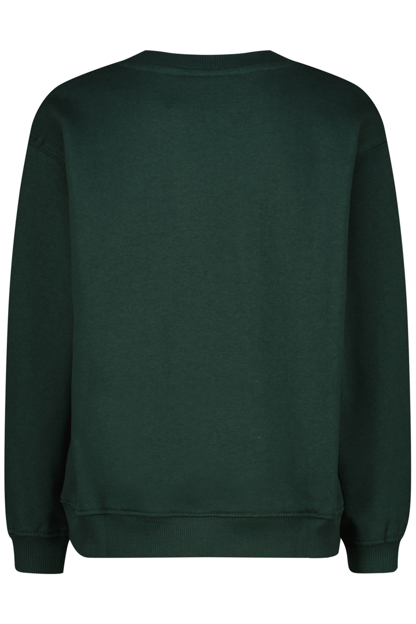 BOYS NAIL SWEATER RACING GREEN 2