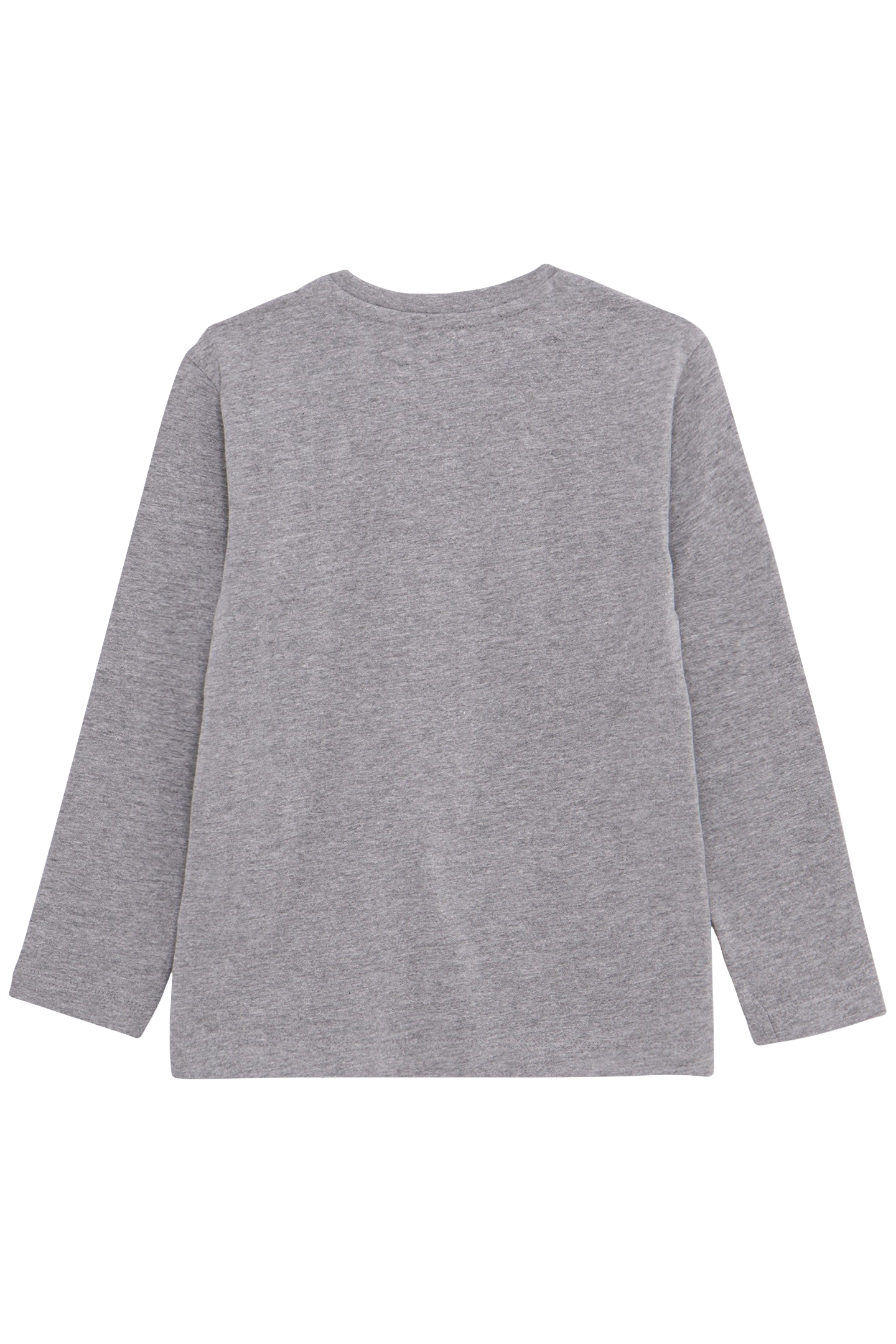 GREY ORGANIC COTTON T-SHIRT VISUAL BOY WOLF-DOUDOUNE 2