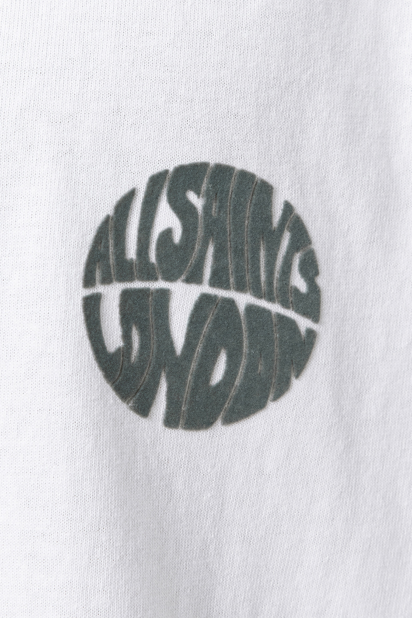 WAVED SS CREW ASHEN WHITE 6