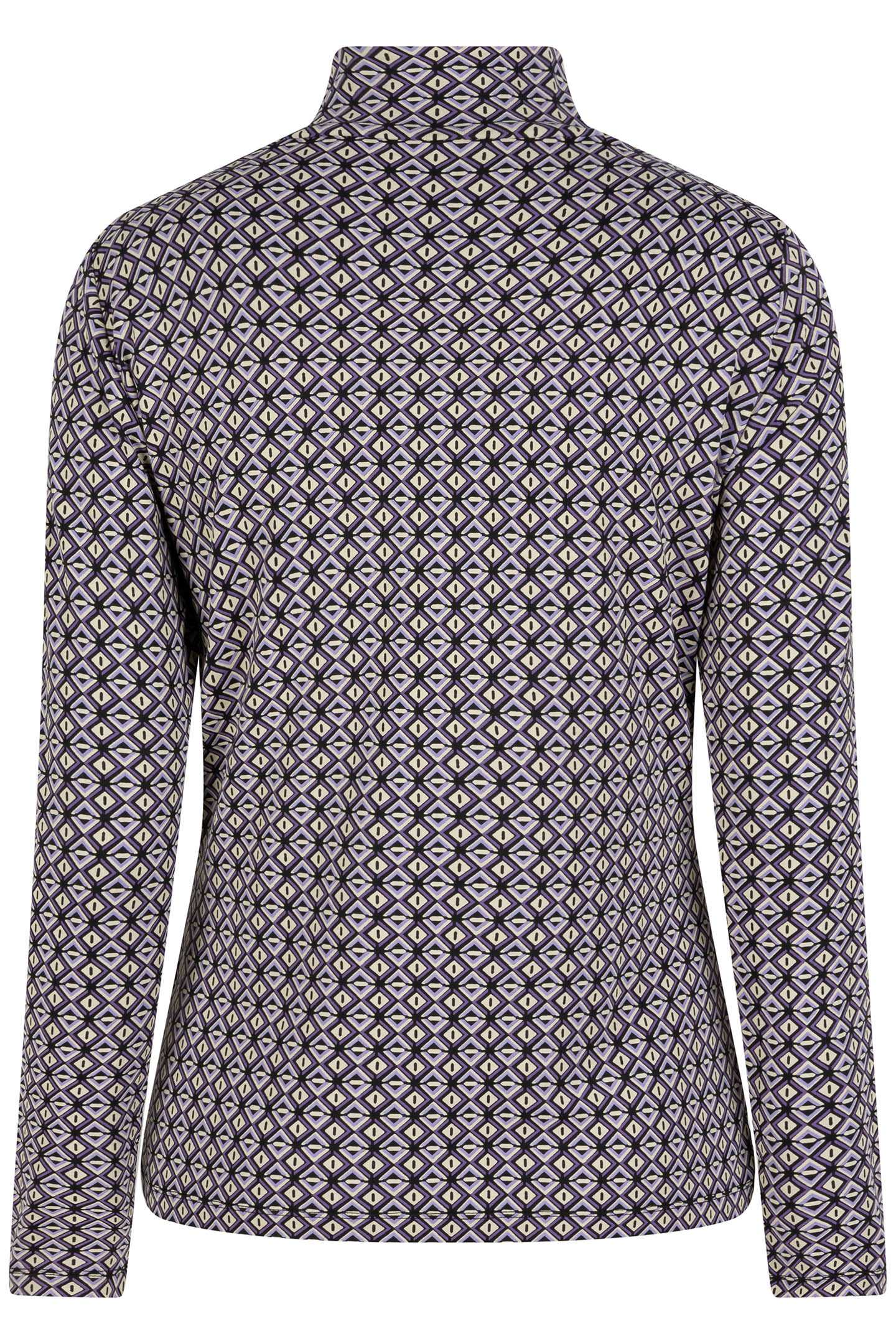 TOP TURTLE GRAPHIC EARTH PRINT 6