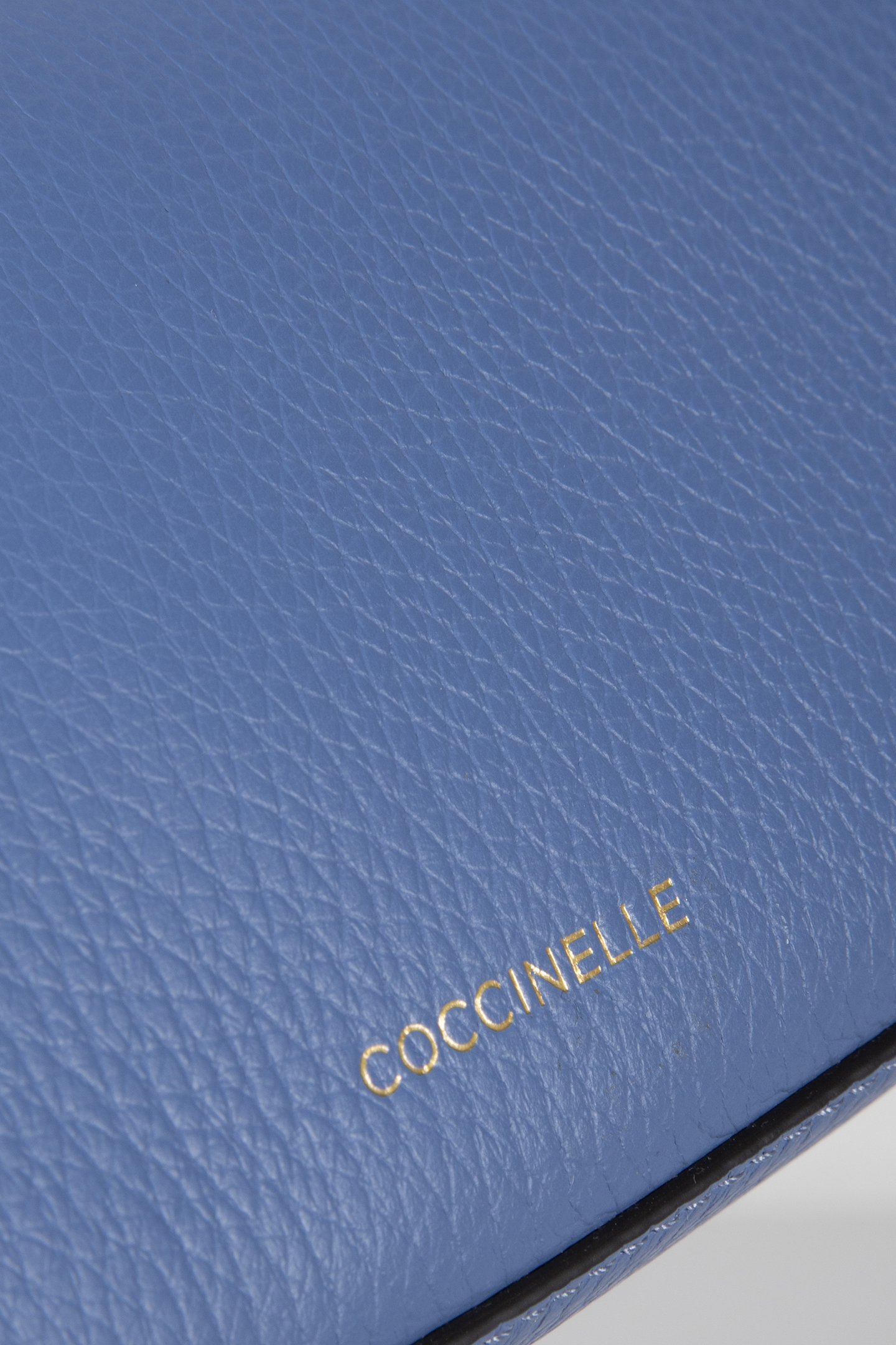 MINI SHOULDER BAG IN LEATHER IN BLUE 5